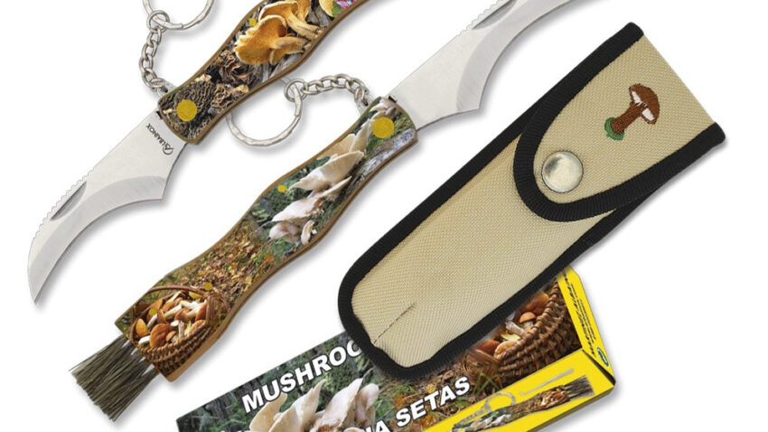 complete mushroom guide responsible foraging and consumption - Complete Mushroom Guide: Responsible Foraging and Consumption